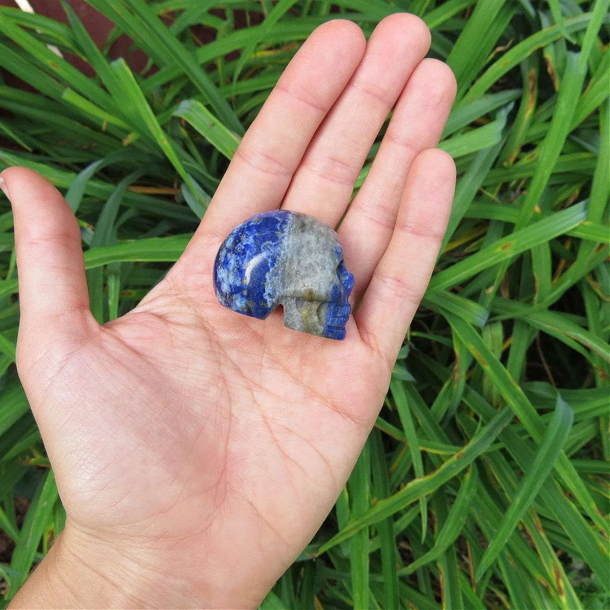 Lapis Lazuli Crystal Skull Figurine | Blue Carved Stone Skull Statue - Small 1.5"