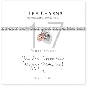 Life Charms You Are 17 Gift Bracelet